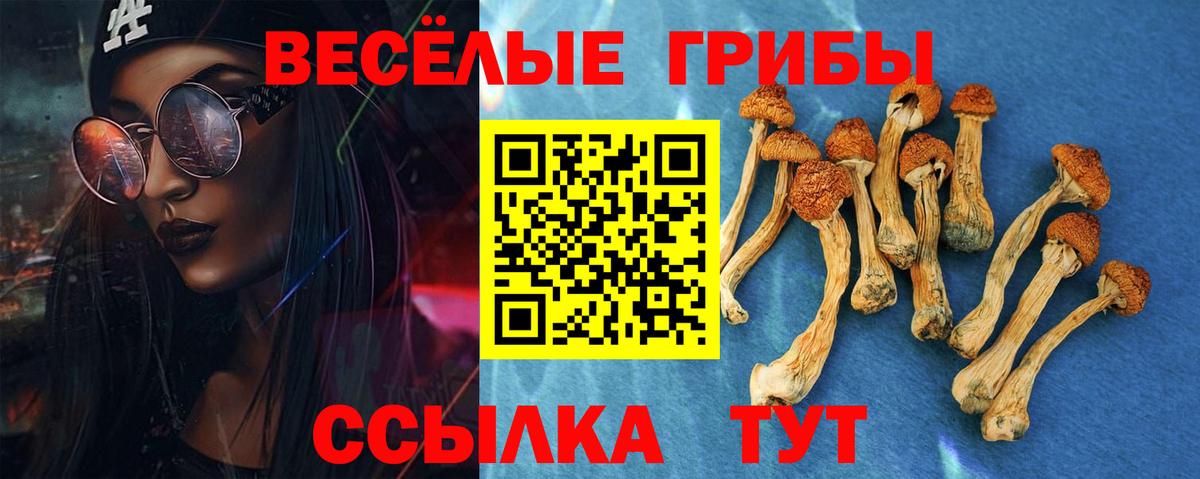 Пугачёв  где купить наркоту  Вход с VPN  Галлюциногенные грибы Cubensis 
